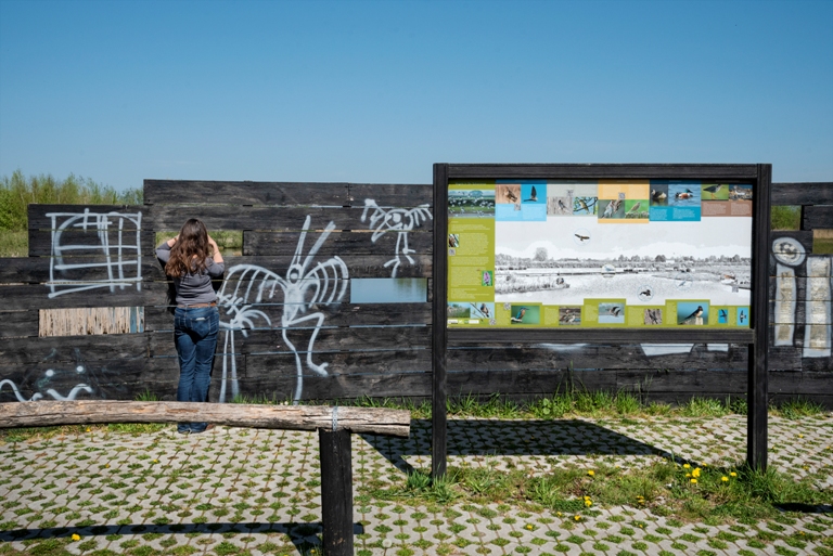 wildobservatie schammer natuureducatie