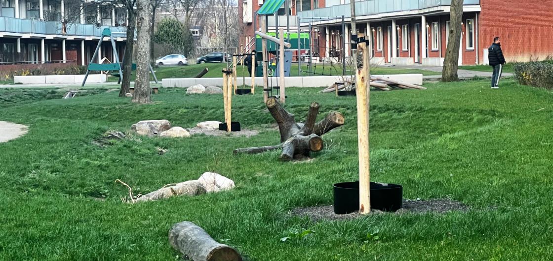 Wadi Kruiskamp Amersfoort 