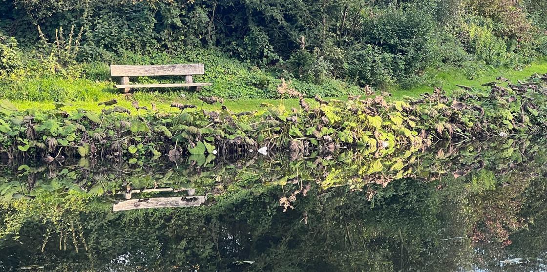 De Heiligenbergerbeek